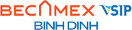 becamexvsipbinhdinh_logo